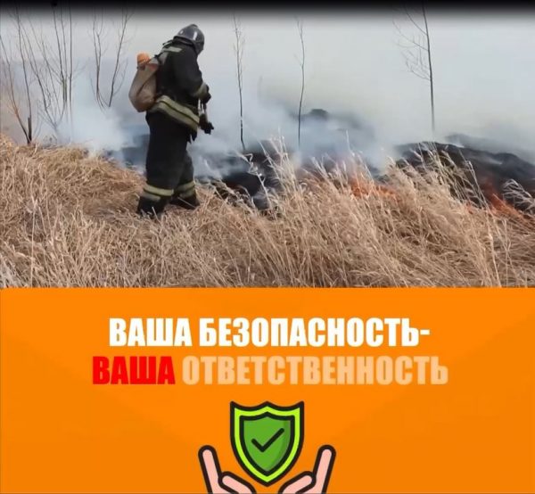 Ваша без.